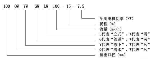 WQ固定式無堵塞排污泵型號(hào)意義